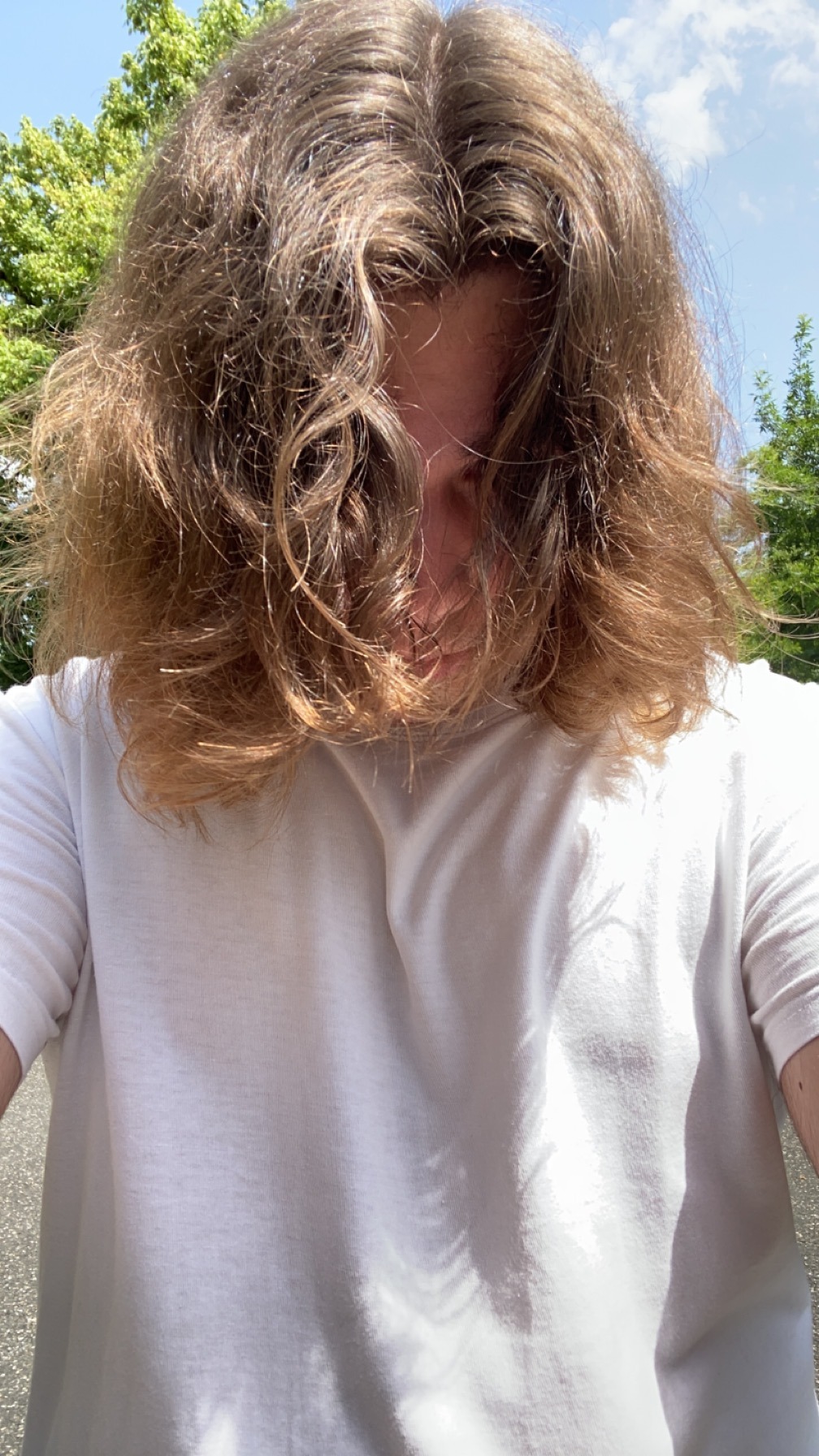 Profil de Alphonse, 19 ans, Annonce Coquine à Portein