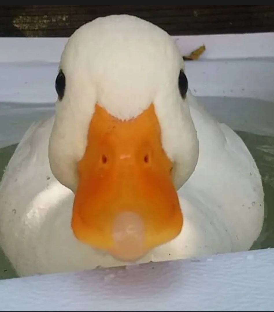 Profil de Gilen, 21 ans, Annonce Coquine à Splügen