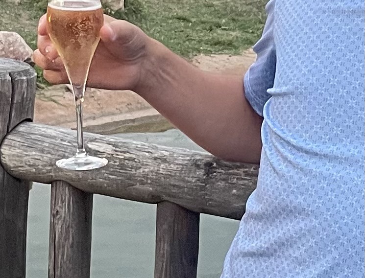 Profil de Charles-eric, 50 ans, Annonce Coquine à Birrwil