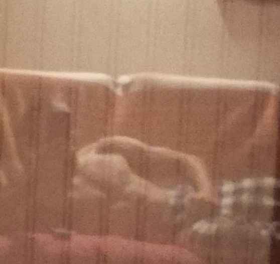 Profil de Roann, 23 ans, Annonce Coquine à Malters